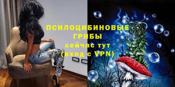 не бодяженный Надым