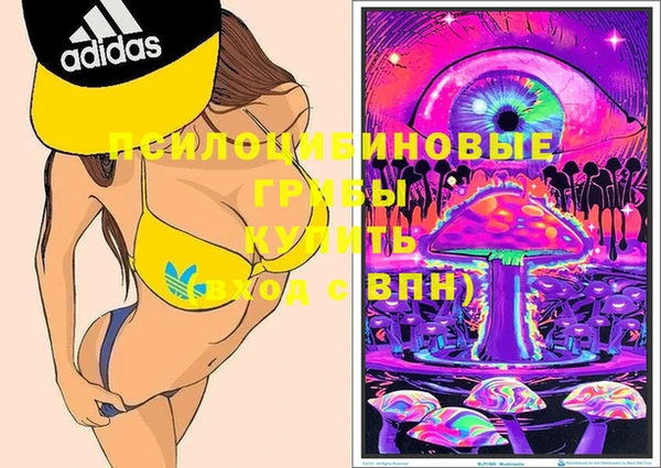 не бодяженный Надым