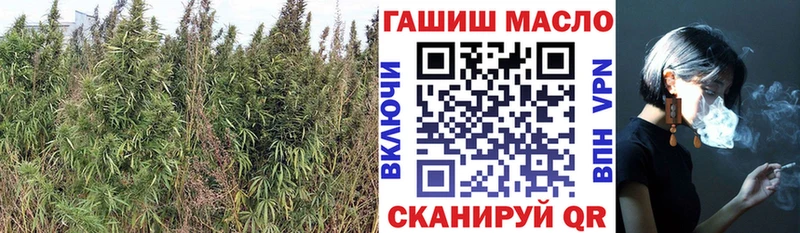 Купить закладки  Петровск  Дистиллят ТГК вейп 